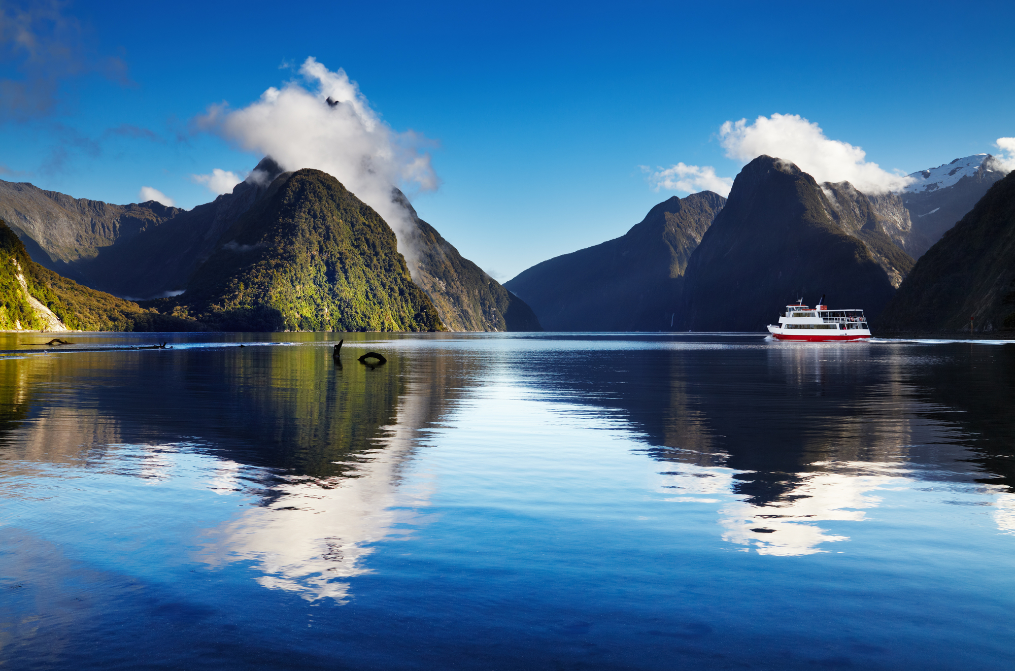 Best Honeymoon Destinations in New Zealand’s Southern Fiords